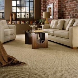 Living room Carpet flooring | Bodamer Brothers Flooring